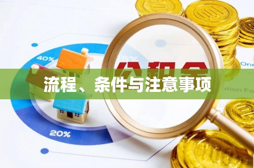 周村流程、条件与注意事项